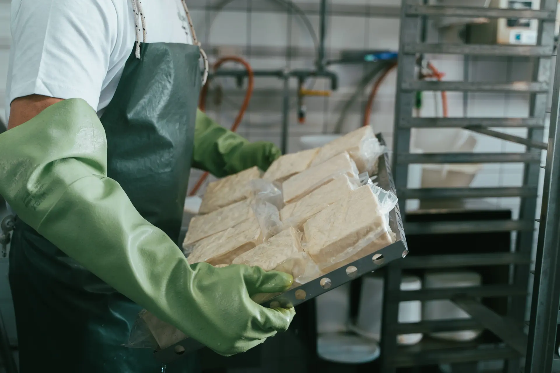 Progetto Tigusto SA: prodotti alimentari del Ticino